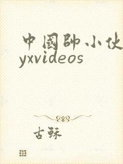中国帅小伙gayxvideos