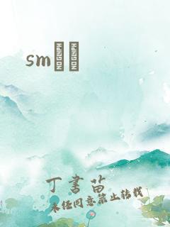 smˮŰ