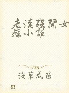 老汉强开女娃过瘾小说