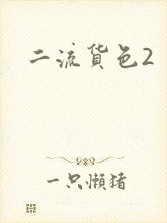 二流货色2