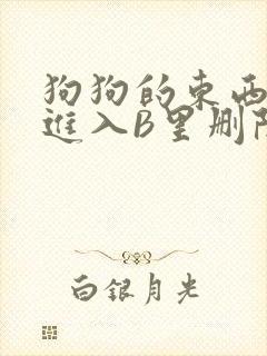 狗狗的东西直接进入B里删除