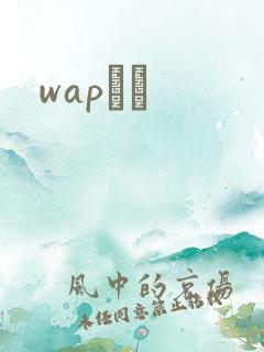wapС˵