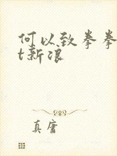 何以致拳拳txt新浪