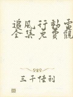 追风行动电视剧全集免费观看