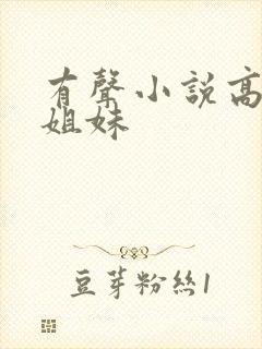 有声小说高树三姐妹