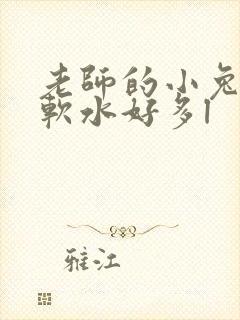 老师的小兔子好软水好多l