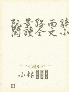阮景路南辞免费阅读全文小说