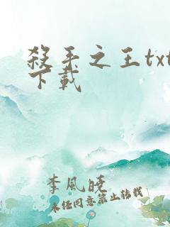 杀手之王txt下载