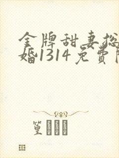 金牌甜妻总裁宠婚1314免费阅读