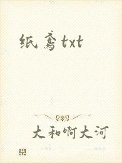 纸鸢txt
