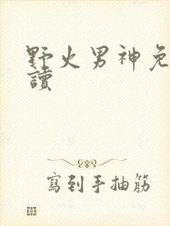 野火男神免费阅读