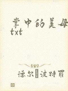 掌中的美母版主txt