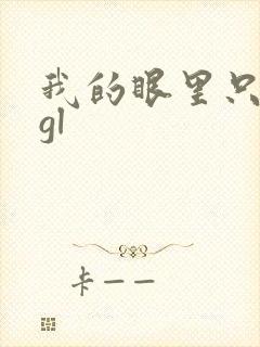 我的眼里只有你gl