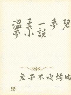 温柔一梦儿媳林梦小说