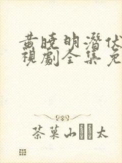 黄晓明潜伏者电视剧全集免费观看