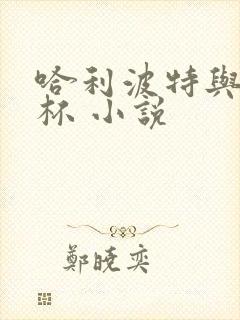 哈利波特与火焰杯 小说