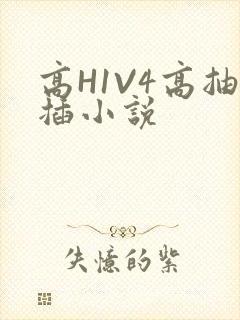 高H1V4高抽插小说