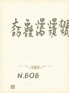 大龟慢慢挺进我的体内视频