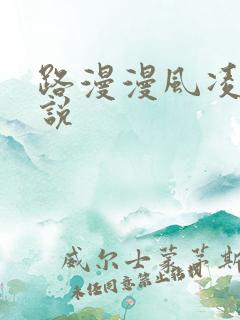 路漫漫风凌轩小说