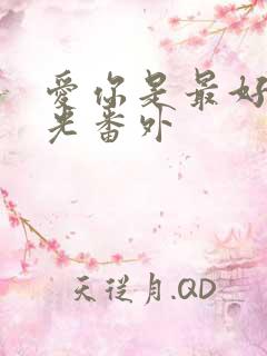 爱你是最好的时光番外