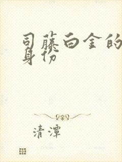 司藤白金的真实身份