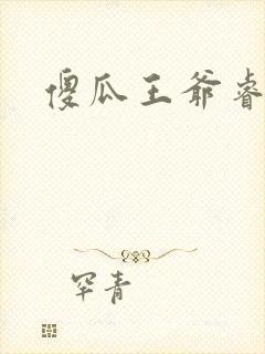 傻瓜王爷睿智妃