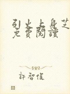 引火上身芝麻糖免费阅读