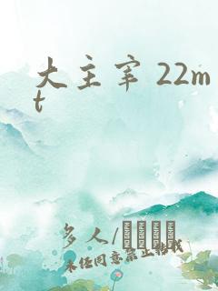 大主宰 22mt