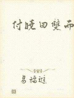 付晓田双面间谍