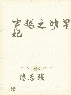 穿越之明星太子妃