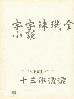 字字珠玑金银花小说