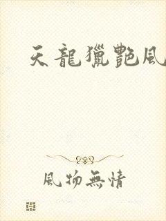 天龙猎艳风流