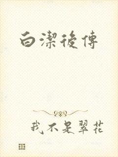 白洁后传