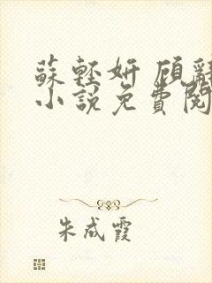 苏轻妍 顾辞笙小说免费阅读