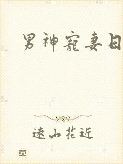 男神宠妻日常