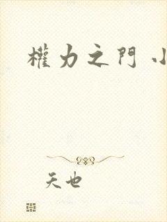 权力之门 小说