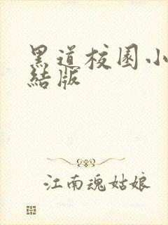 黑道校园小说完结版