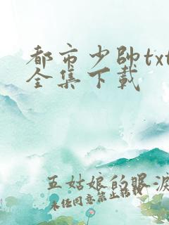 都市少帅txt全集下载