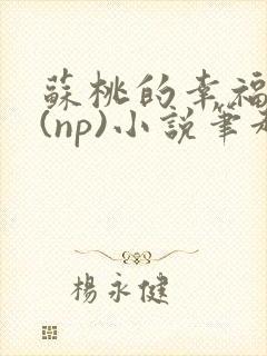 苏桃的幸福生活(np)小说笔趣阁沐沐