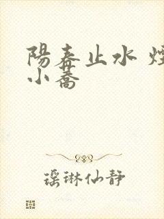 阳春止水 烟树小荞