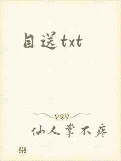 目送txt