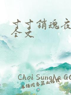 寸寸销魂夜春光全文