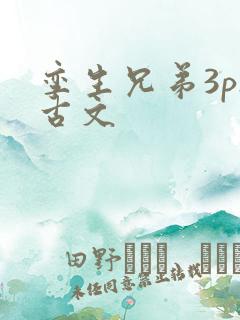 孪生兄弟3ph古文