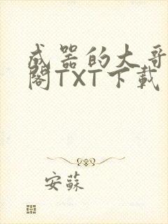 成器的大哥笔趣阁TXT下载