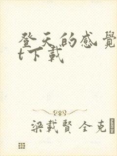 登天的感觉txt下载