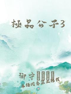 极品公子3