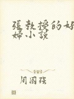 张教授的好儿媳妇小说