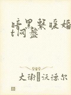 暗黑系暖婚txt网盘