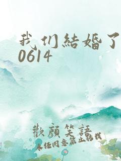 我们结婚了130614