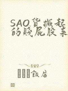 SAO货撅起你的贱屁股来